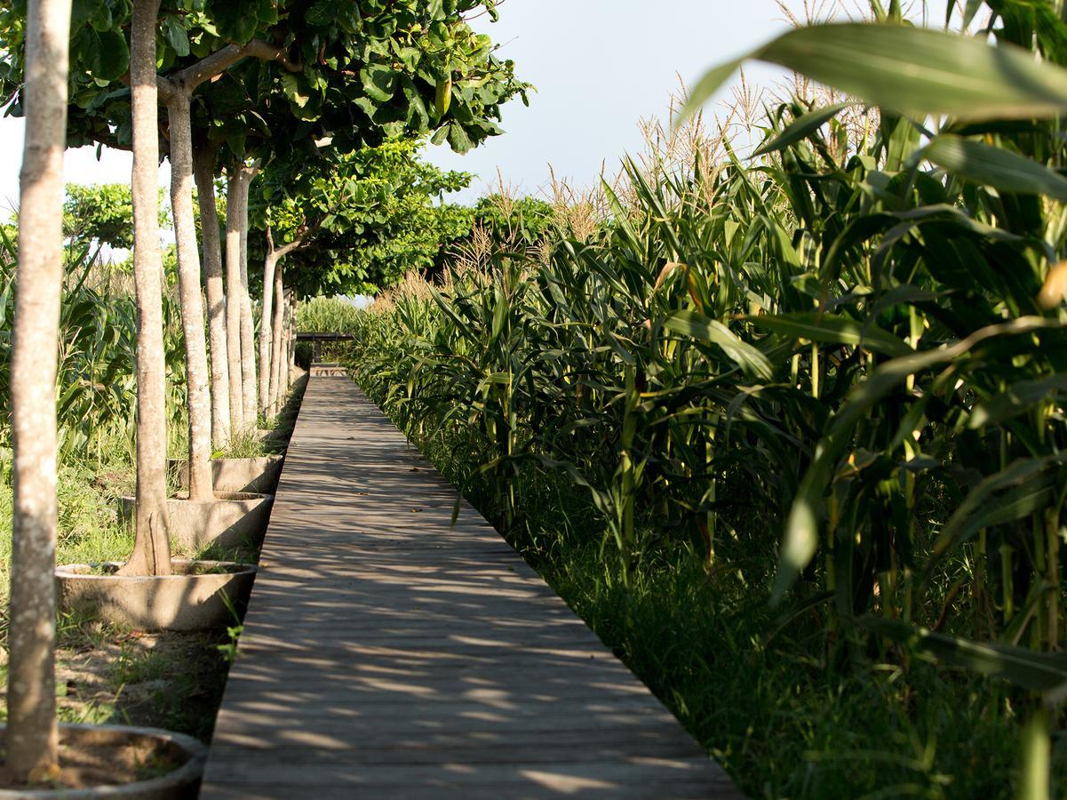 Sanur Residence Esterno foto